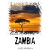 КОФЕ СВЕЖЕЙ ОБЖАРКИ ЗАМБИЯ АА 250 гр