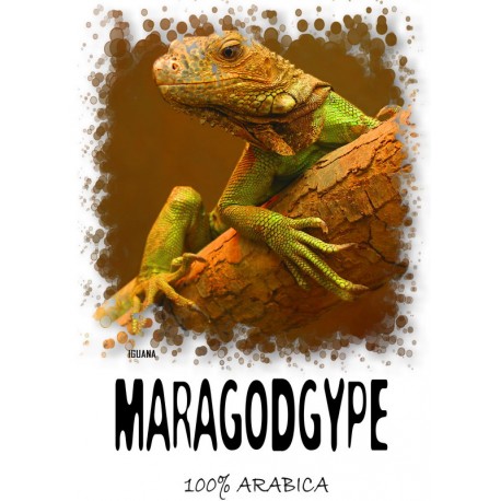 КОФЕ СВЕЖЕЙ ОБЖАРКИ ГВАТЕМАЛА МАРАГОДЖИП 250 гр