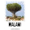 КОФЕ СВЕЖЕЙ ОБЖАРКИ МАЛАВИ МАПАНГА 250 гр