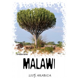 КОФЕ СВЕЖЕЙ ОБЖАРКИ МАЛАВИ МАПАНГА 250 гр