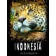 КОФЕ СВЕЖЕЙ ОБЖАРКИ ИНДОНЕЗИЯ 1000 гр