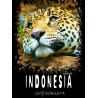 КОФЕ СВЕЖЕЙ ОБЖАРКИ ИНДОНЕЗИЯ 1000 гр