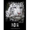 КОФЕ СВЕЖЕЙ ОБЖАРКИ ИНДИЯ ЧЕРИ 1000 гр