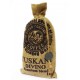 Кофе в зернах Tuskani DIVINO «60% arabica» 1 кг